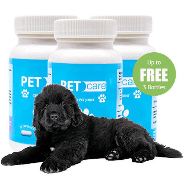 what is CBD Care - Pet Care